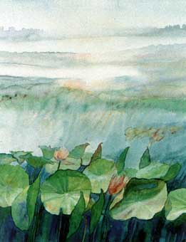 Work : Dawn at Bung Boraphet