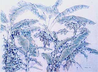 Work : Drawing 2