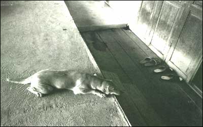 Work : Vanishing Bangkok