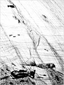 Title : Drawing's Life, 2002