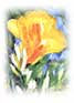 Colour & Flower by Boonchana   Chaiyajit