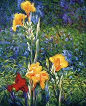 The Canna Flower 1
