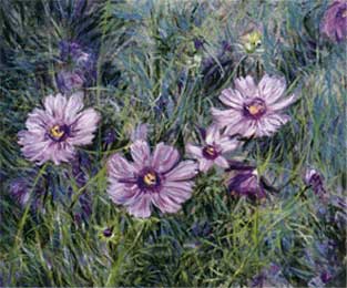 The Coreopsis Flower