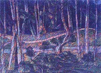 The  way  in  the  forest