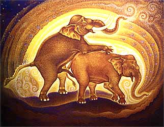 Elephant  Fall  in  Love.