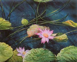 Lotus Line 1 by Wichet Chantaniyom
