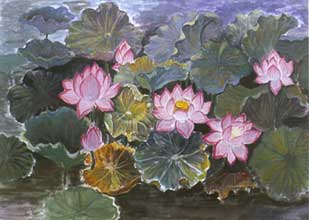 A Lotus