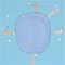 Exhibition : "The Drama of Life" by Anupong Kachacheewa