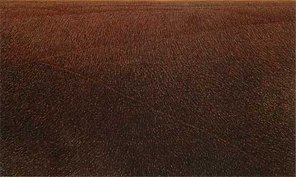 Exhibition : "Amata Art Award No.1/2004"  by Amata Foundation