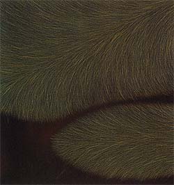 Exhibition : "Amata Art Award No.1/2004"  by Amata Foundation