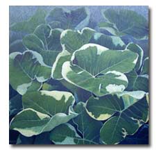 Tung - Ngen (name of plant) by  Nittaya Tamwong