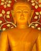 Lord Buddha's Image, 2005