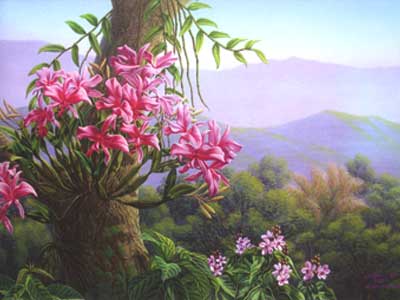 Orchid 3