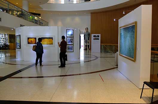 20_years_sirindhorn_art_exhibition  | 20 ปี ศิลป์สิรินธร