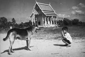 Master of Photography | ภาพถ่ายฝีมือชั้นครู by Saengjun Limlohakul | แสงจันทร์ ลิ่มโลหะกุล