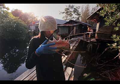 Exhibition Let Me Dance, The Performance Art in Photography Exhibition By Jittima Pholsawek | นิทรรศการ ศิลปะแสดงสดผ่านภาพถ่าย ปล่อยให้ฉันร่ายรำ โดย จิตติมา ผลเสวก