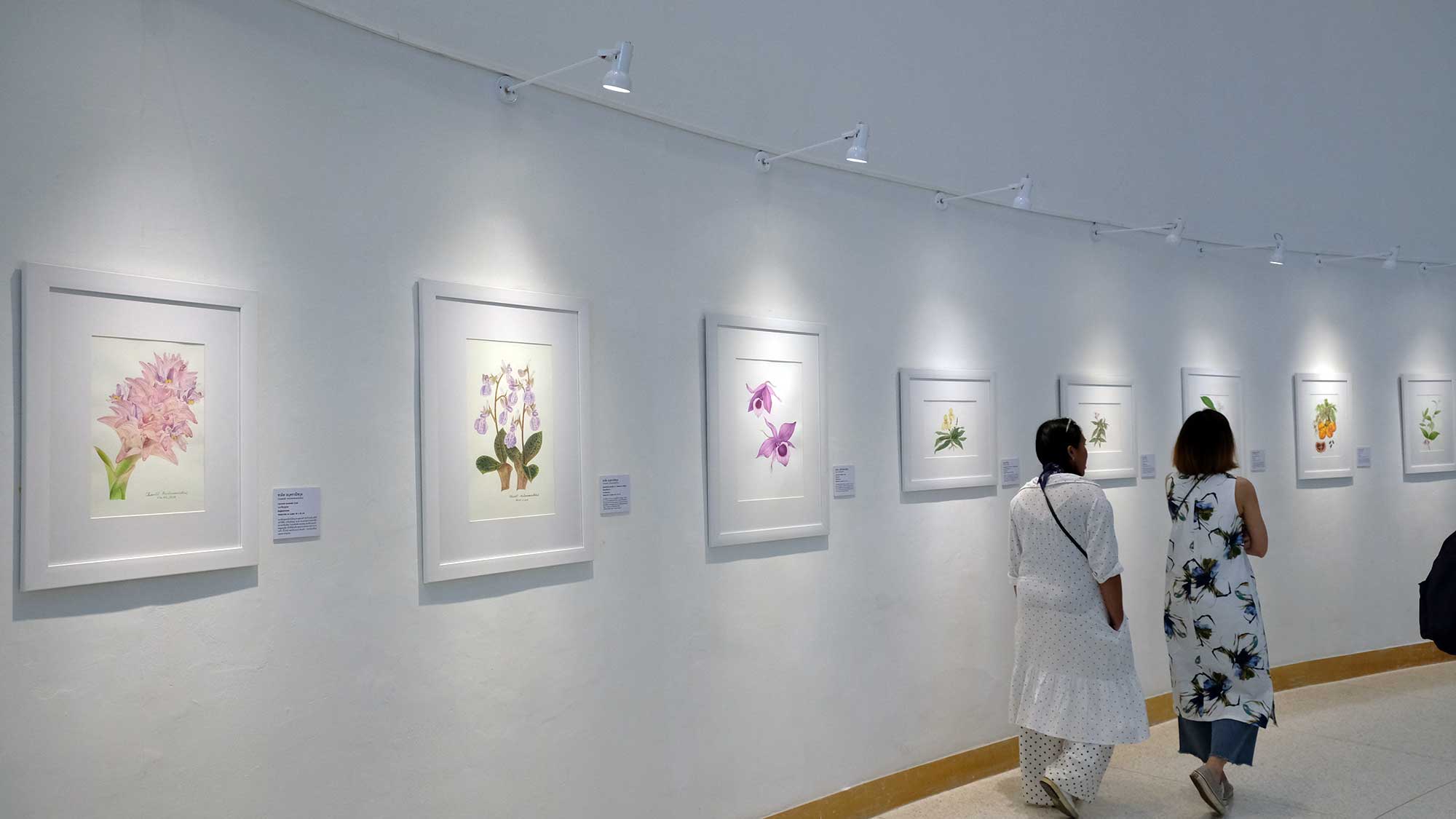 Exhibition Botanical Art Worldwide 2018 – The Beauty of Native Thai Plants | นิทรรศการ ภาพวาด พฤกษศาสตร์ สานพฤกษพรรณผ่านงานพฤกษศิลป์