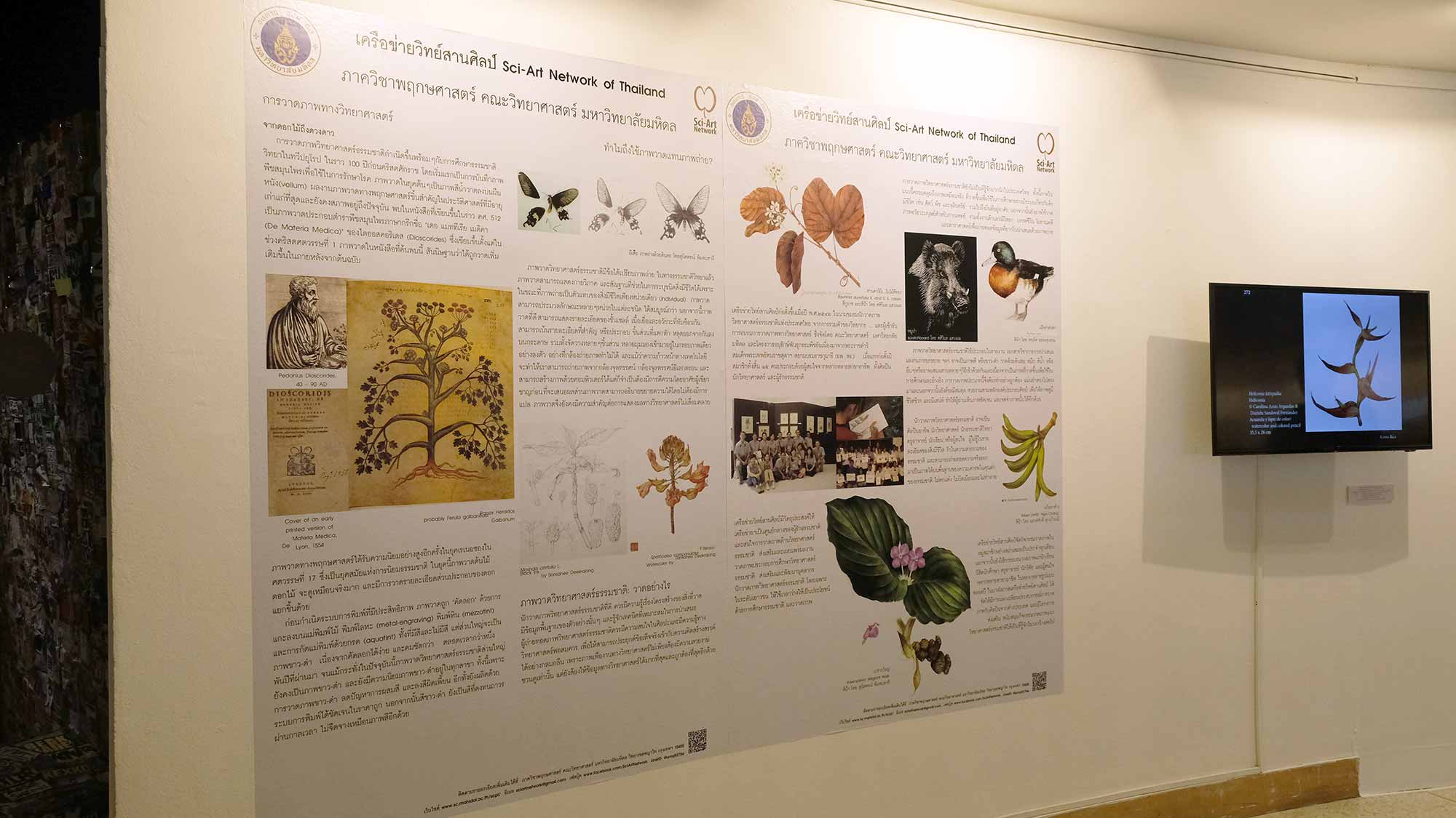 Exhibition Botanical Art Worldwide 2018 – The Beauty of Native Thai Plants | นิทรรศการ ภาพวาด พฤกษศาสตร์ สานพฤกษพรรณผ่านงานพฤกษศิลป์