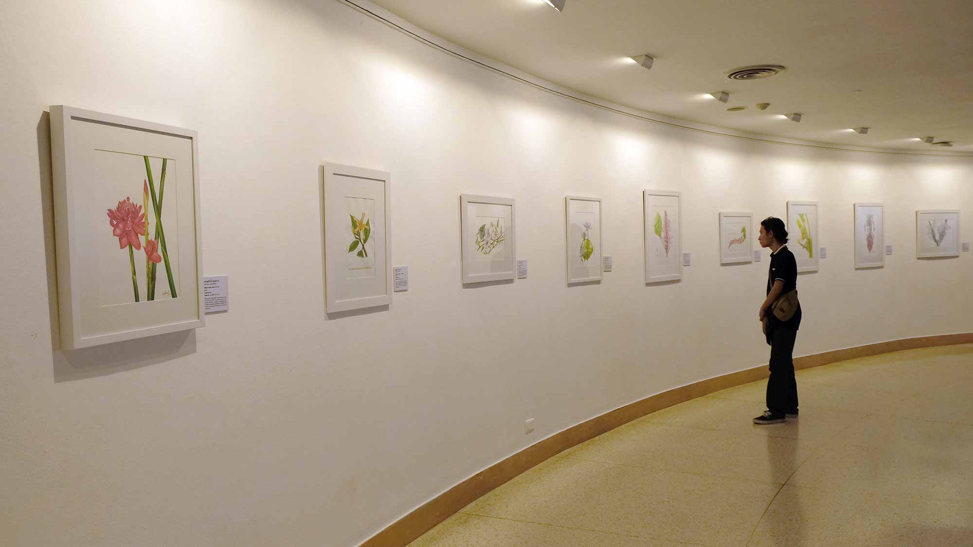 Exhibition Botanical Art Worldwide 2018 – The Beauty of Native Thai Plants | นิทรรศการ ภาพวาด พฤกษศาสตร์ สานพฤกษพรรณผ่านงานพฤกษศิลป์