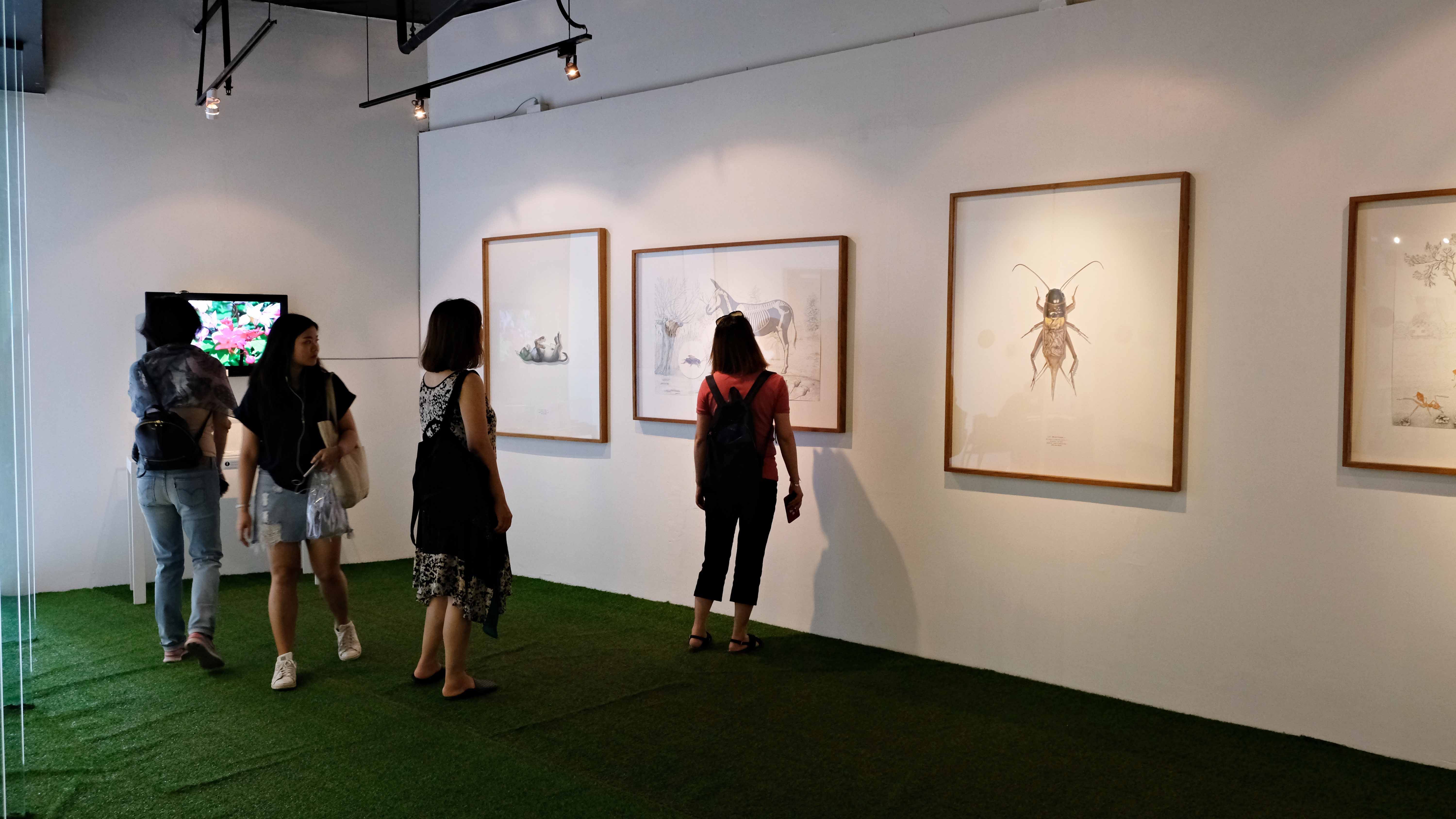 Exhibition  The Fable of Braying, Chirping, and Sizzling Sound by Lalinthorn Phencharoen | นิทรรศการ นิทานแผดเสียง กรีดเสียง และซีซเสียง โดย ลลินธร เพ็ญเจริญ