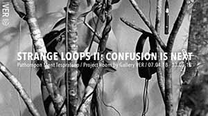 Strange Loops II: Confusion Is Next By Pathompon Tesprateep ปฐมพล เทศประทีป
