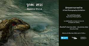 Ru´kkha´ Dheva´ By Somsak Pattanapitoon | นิทรรศการภาพถ่าย รุกขะ เทวะ โดย สมศักดิ์ พัฒนพิฑูรย์