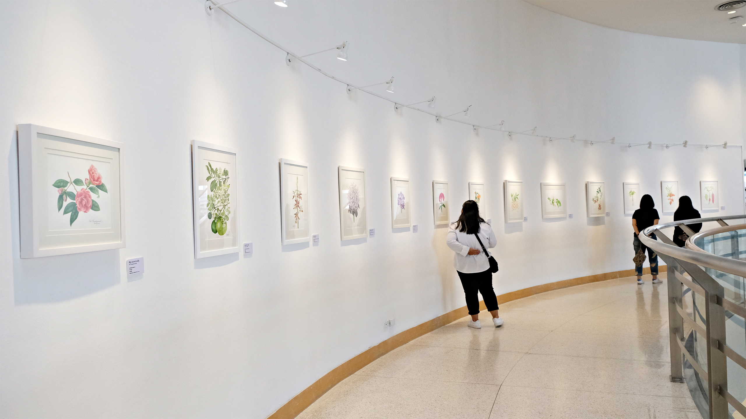 BACC Art of Nature Exhibition: Botanical Art Thailznd 2019