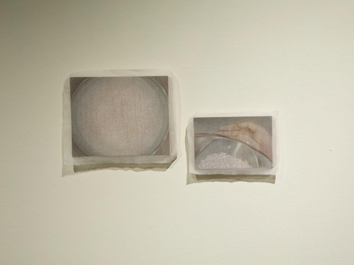 Weevils in Rice | มอด มอด โดย กนกวรรณ สุทธัง