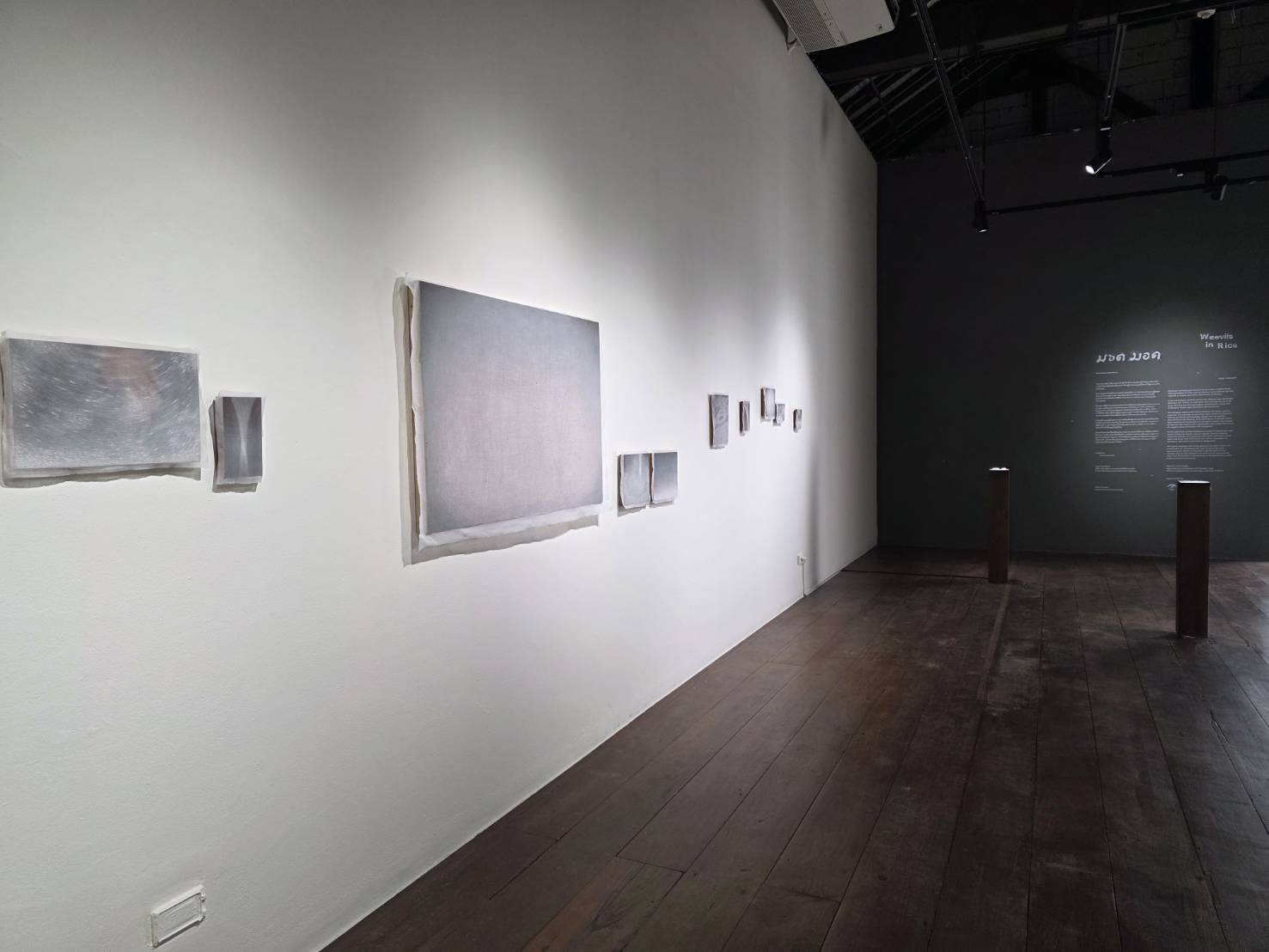 Weevils in Rice | มอด มอด โดย กนกวรรณ สุทธัง