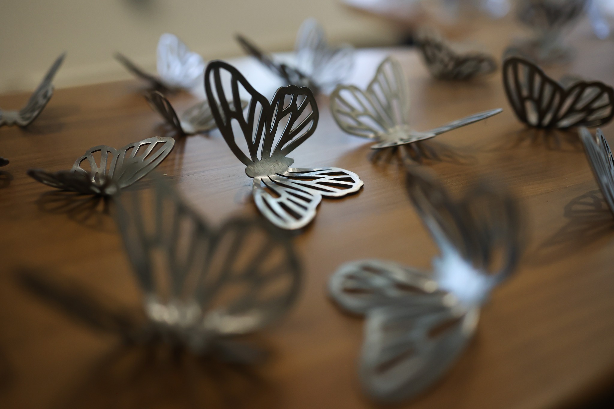 Elements of Nature | Elements of Nature โดย พุทธรักษ์ ดาษดา