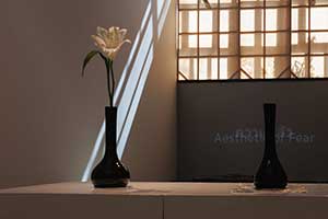 นิทรรศการสุนทรียะแห่งความกลัว (Aesthetic of Fear) โดย คามิน เลิศชัยประเสริฐ (Kamin Lertchaiprasert)