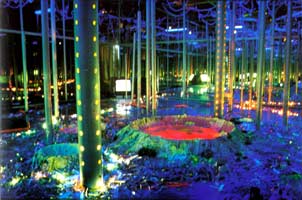 Work : Installation Series of ''Utopia 1997''