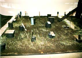 Work : Forest and Earth