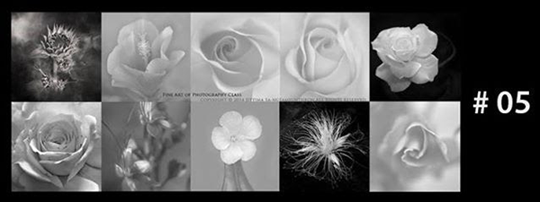 Fine Art Photography Course by Jittima Sa-ngeamsunthron