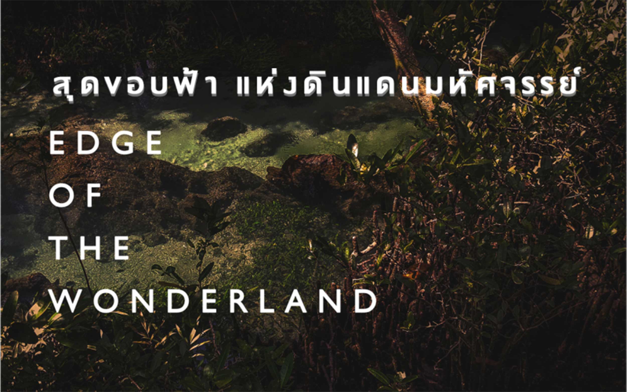 Thailand Biennale 2018, Krabi “Edge of the Wonderland” | โครงการการแสดงศิลปกรรมร่วมสมัยนานาชาติ เบียนนาเล่ ภายใต้แนวคิด สุดขอบฟ้าแห่งดินแดนมหัศจรรย์