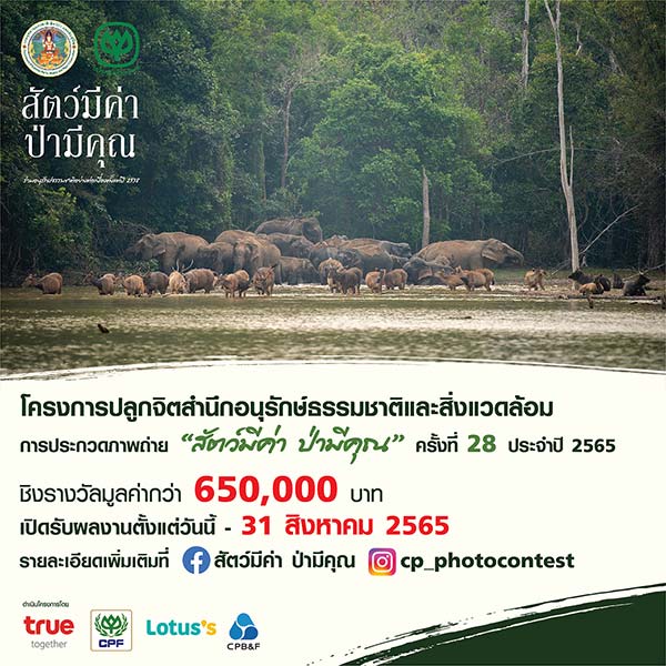 Photo Contest | ประกวดภาพถ่าย สัตว์มีค่า ป่ามีคุณ ครั้งที่ 28 ประจำปี 2565