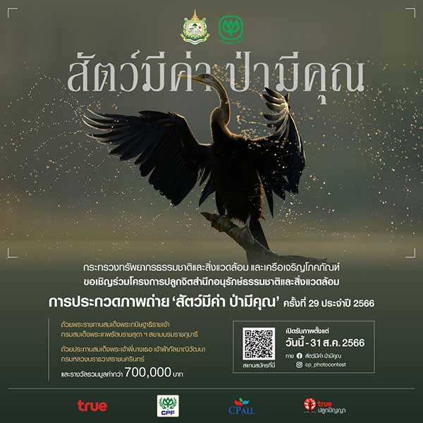 Photo Contest | ประกวดภาพถ่าย 