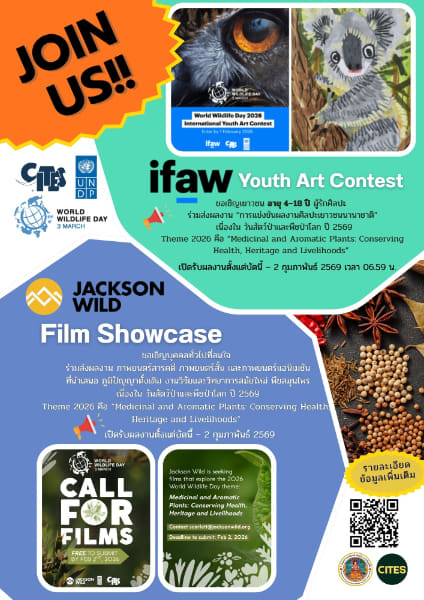 World Wildlife Day Contest | การประกวดจากกรมอุทยานแห่งชาติ สัตว์ป่า และพันธุ์พืช