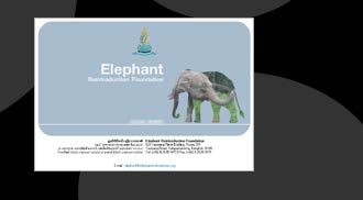 Elephant Reintroduction Foundation