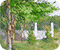 Chahn Sutarapong �ҭ �ظ��Ҿ���