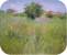 Chahn Sutarapong �ҭ �ظ��Ҿ���