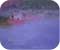 Chahn Sutarapong �ҭ �ظ��Ҿ���