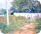 Chahn Sutarapong �ҭ �ظ��Ҿ���