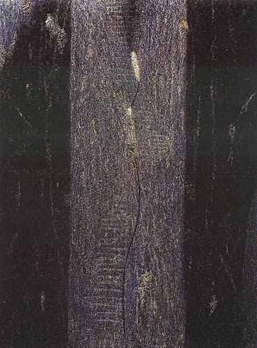 Trace (on human body), 2000
