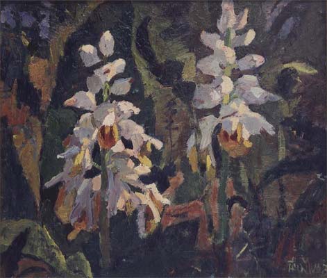 Ginger' s flower, 1993