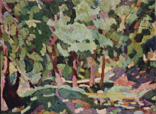 Trees at mae wan, 1996