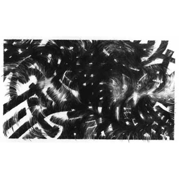 Untitled, 1985, Ink on sheet of plastic, 120 x 200 cm.