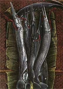 Marine Resource No.2