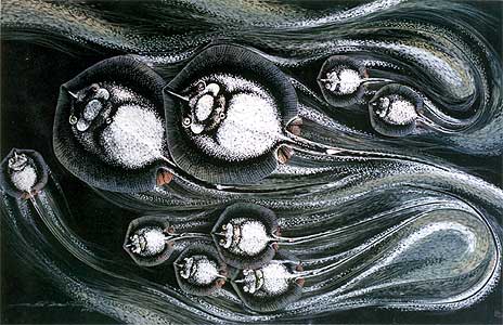 Group Fish, No.1