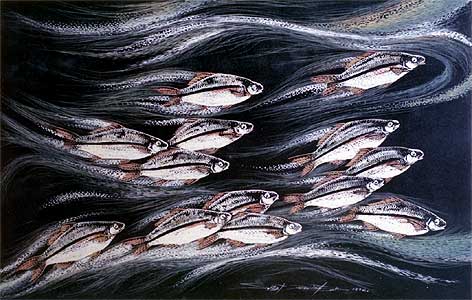 Group Fish, No.2